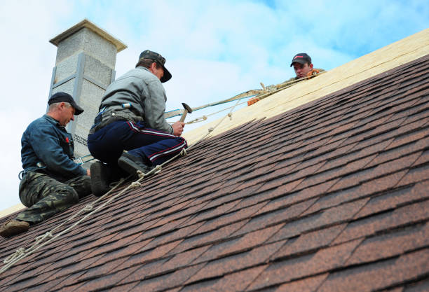 Best Shingle Roofing Installation  in Clay Center, KS
